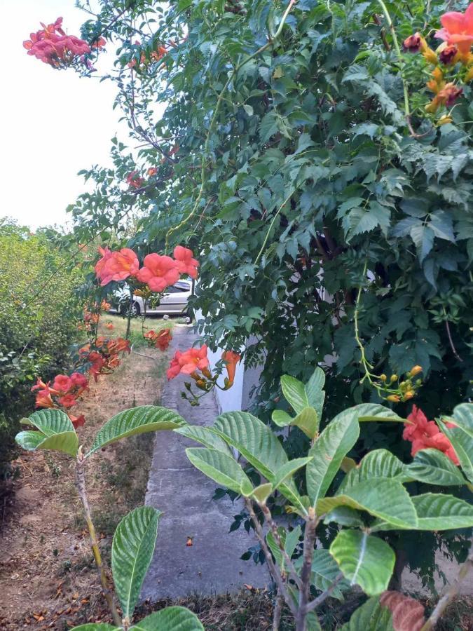 Хостел Traveler'S Rest - Near Podgorica Airport Mitrovici  Экстерьер фото